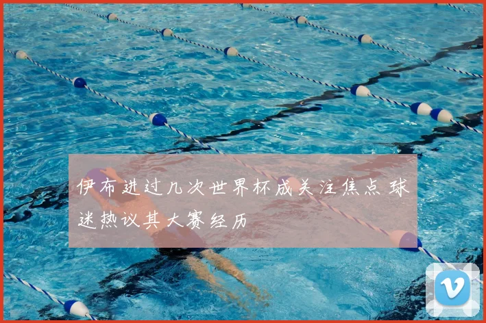 伊布进过几次世界杯成关注焦点 球迷热议其大赛经历