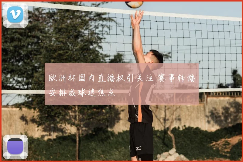 欧洲杯国内直播权引关注 赛事转播安排成球迷焦点