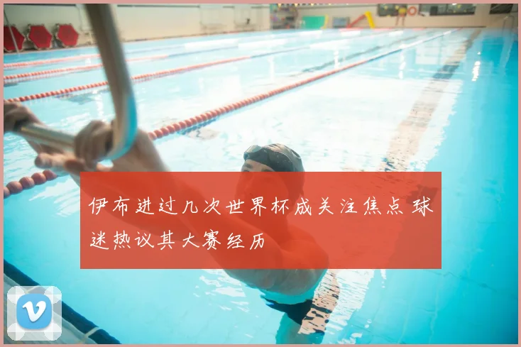 伊布进过几次世界杯成关注焦点 球迷热议其大赛经历