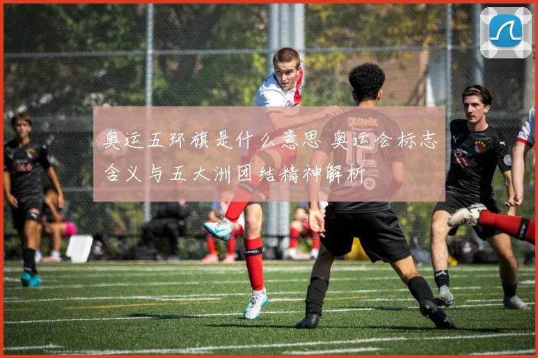 奥运五环旗是什么意思 奥运会标志含义与五大洲团结精神解析