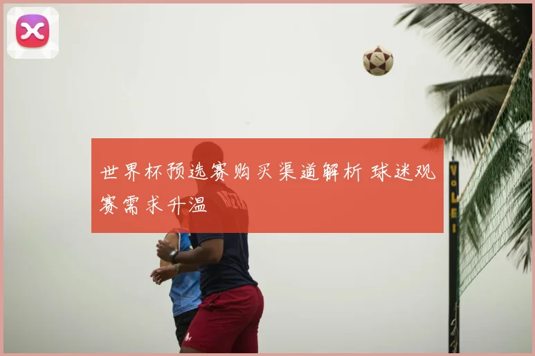 世界杯预选赛购买渠道解析 球迷观赛需求升温
