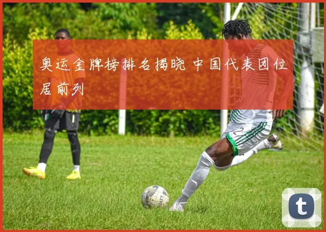 奥运金牌榜排名揭晓 中国代表团位居前列