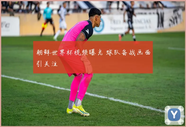 朝鲜世界杯视频曝光 球队备战画面引关注