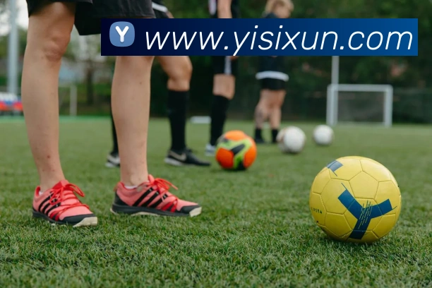 世界杯开户平台平台生态图